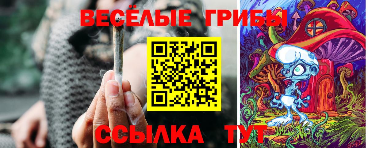 Псилоцибиновые грибы ЛСД Нижнекамск