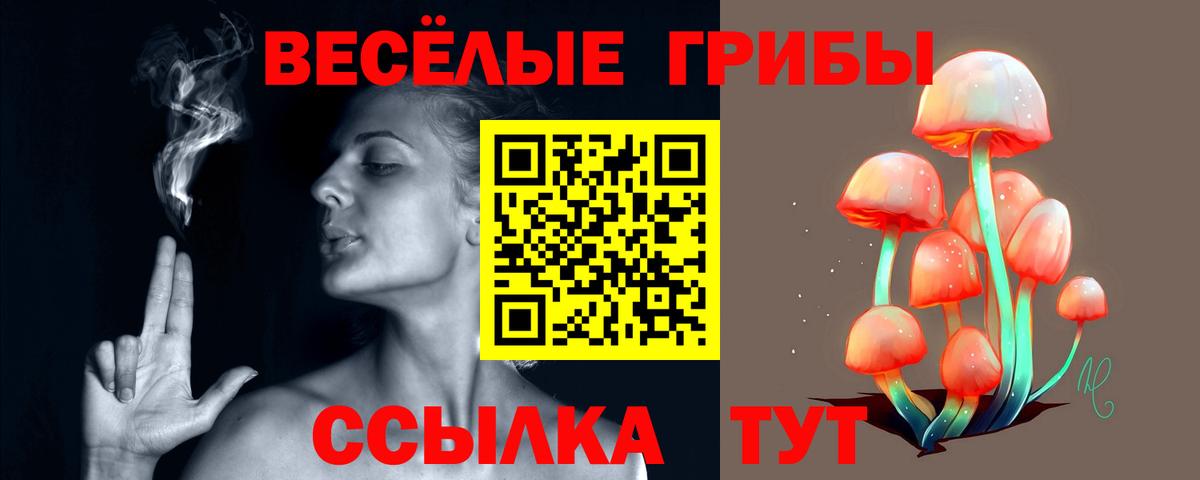 Нижнекамск  Псилоцибиновые грибы Psilocybe  Галлюциногенные грибы мухоморы  Вход с VPN 